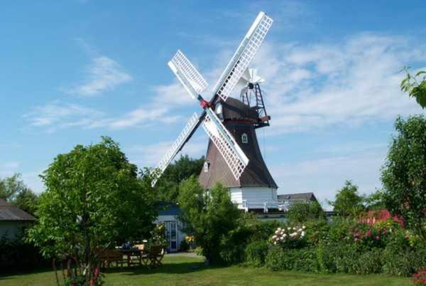 Nonnenganshauser Friedrichskoog Luaran gambar