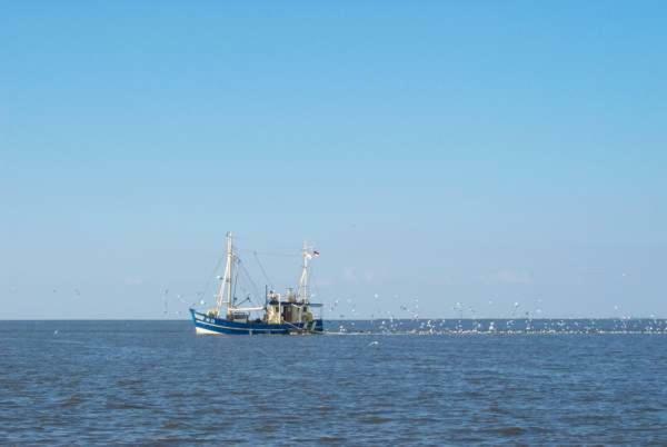 Nonnenganshauser Friedrichskoog Luaran gambar